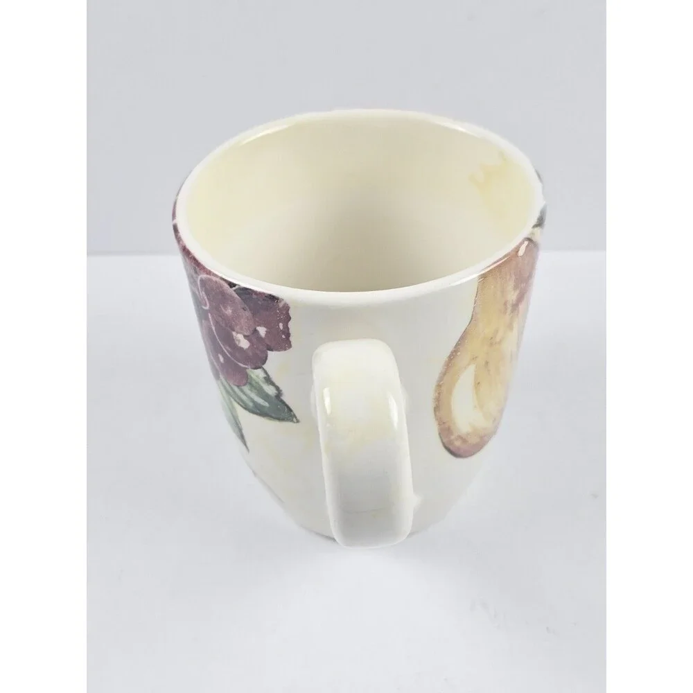 Pier 1 Fruit Hand-Painted Earthenware Coffee Mug Microwave Dishwasher Safe Italy